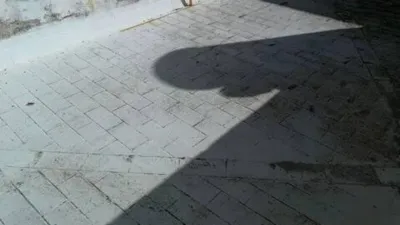 Rustic House in Vejer de la Frontera photo 29