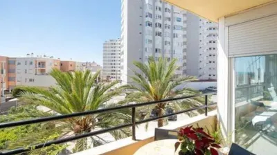 Apartment in Cala Major photo 13