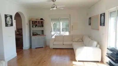 Chalet in Catral photo 12