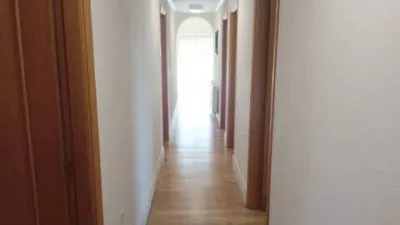 Chalet in Catral photo 24