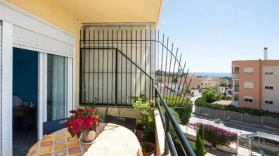 Apartment in Cala Major photo 15