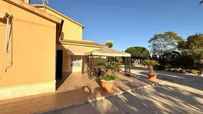 Casa – Elx - Elche - Vista 5