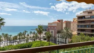 Pis – Alacant / Alicante, Centre Històric, l'Alacantí - Vista 2
