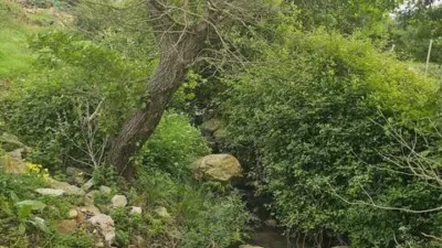 Rustic House in Tarifa photo 38