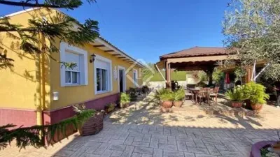 Casa – Sant Vicent del Raspeig - San Vicente del Raspeig - Vista 4