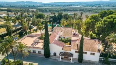 Rustic House in Novelda photo 3