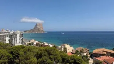 Apartment in Cala Manzanera photo 17