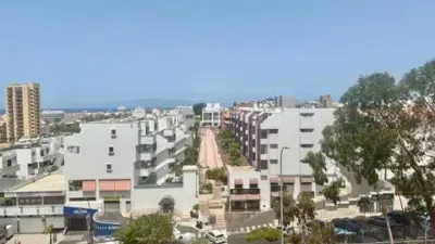 Apartment on Calle Primavera No Number photo 10