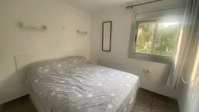 Apartment in Els Merinals photo 7