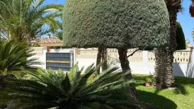 Chalet on Calle del Pino photo 12