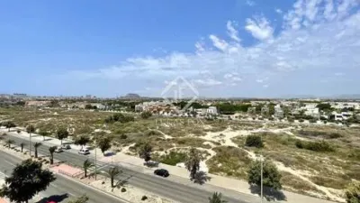 Apartment in La Condomina photo 19