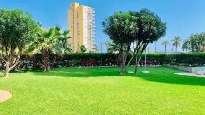 Apartment on Avenida de Niza photo 3