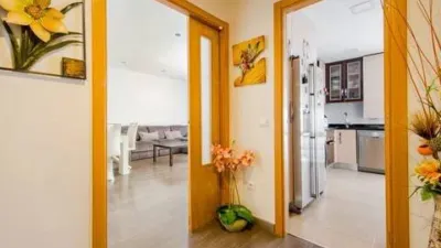 Apartment in the City Centre photo 5