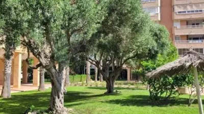 Piso – Alicante - Alacant - Vista 4