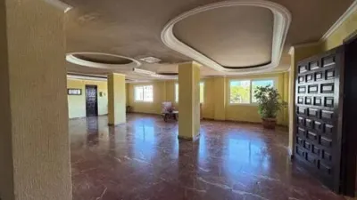 Apartment in Cala Manzanera photo 18