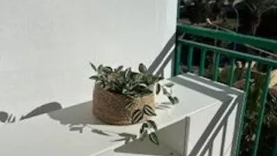 Apartment in Alicante - Alacant - View 4