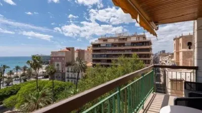 Pis – Alacant / Alicante, Centre Històric, l'Alacantí - Vista 4