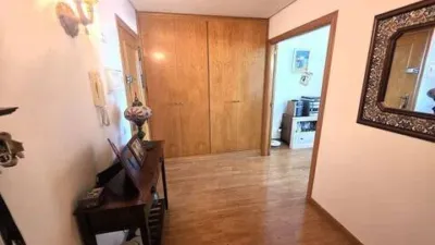 Apartment in Llevant photo 19