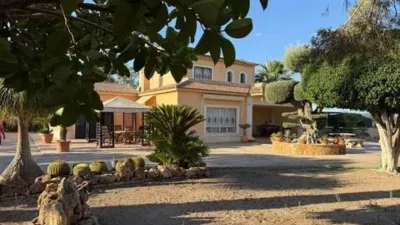 Casa – Elx - Elche - Vista 3