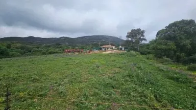 Rustic House in Tarifa photo 40