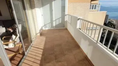 Pis – Alicante - Alacant - Vista 4