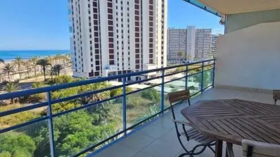 Pis – Alicante - Alacant - Vista 5