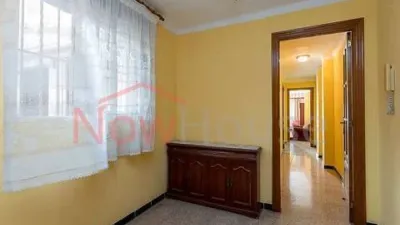 Apartment in Cas Capiscol photo 20