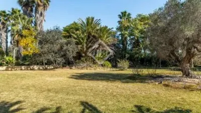 Chalet in Torrellano-Valverde-Parc Empresarial photo 51
