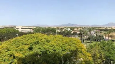 Piso – Alicante - Alacant - Vista 2