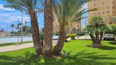 Apartment in Agua Amarga-Urbanova photo 61
