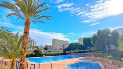 Apartment on Avenida de Benidorm photo 121