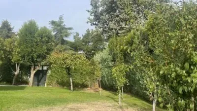 Chalet in Monte Alina-La Cabaña photo 9