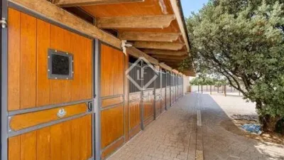 Rustic house at Finca Maria Ines, 1 photo 67