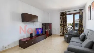 Apartment in Ciutat d'Alcúdia photo 6