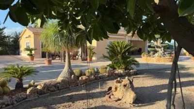 Casa – Elx - Elche - Más