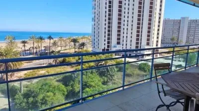 Pis – Alicante - Alacant - Vista 3