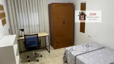Apartment in Albacete Capital photo 13