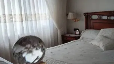 Apartment in Ortuella photo 21