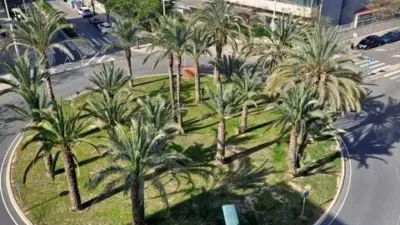 Apartment in University Area photo 28