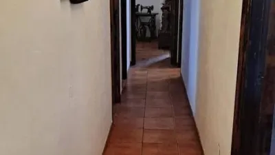 Apartment in University Area photo 14