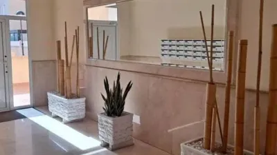Apartment in University Area photo 7