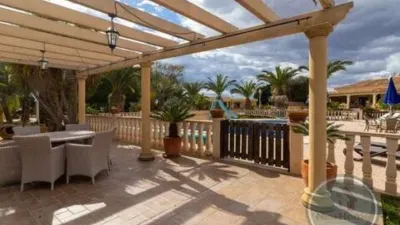 Casa – Elx - Elche - Más