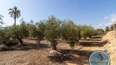 Terreno en venta en Crevillent - Vista 2