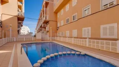 Pis – Torrevieja, La Mata - Més