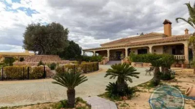 Casa – Elx - Elche - Vista 2