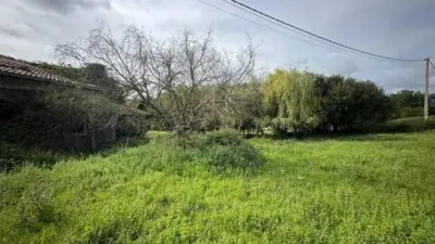 Rustic house in Rubayo photo 10