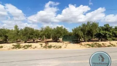Terreno en venta en Crevillent - Vista 3