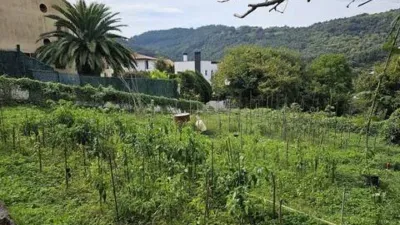 Rustic house on Calle Baltezana, 1 photo 21