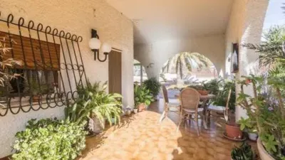 Casa – Elx - Elche - Vista 3