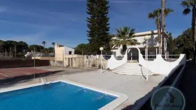 Casa – Elx - Elche - Más